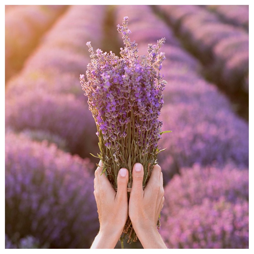 LAVANDA FRESCA - CANDELA PROFUMAT